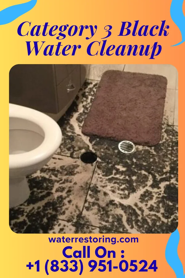 Category 3 Black Water Cleanup in Ector, TX
