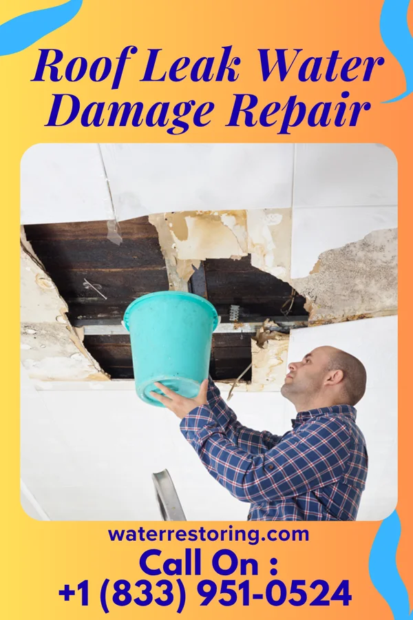 Roof Leak Water Damage Repair in Ector, TX